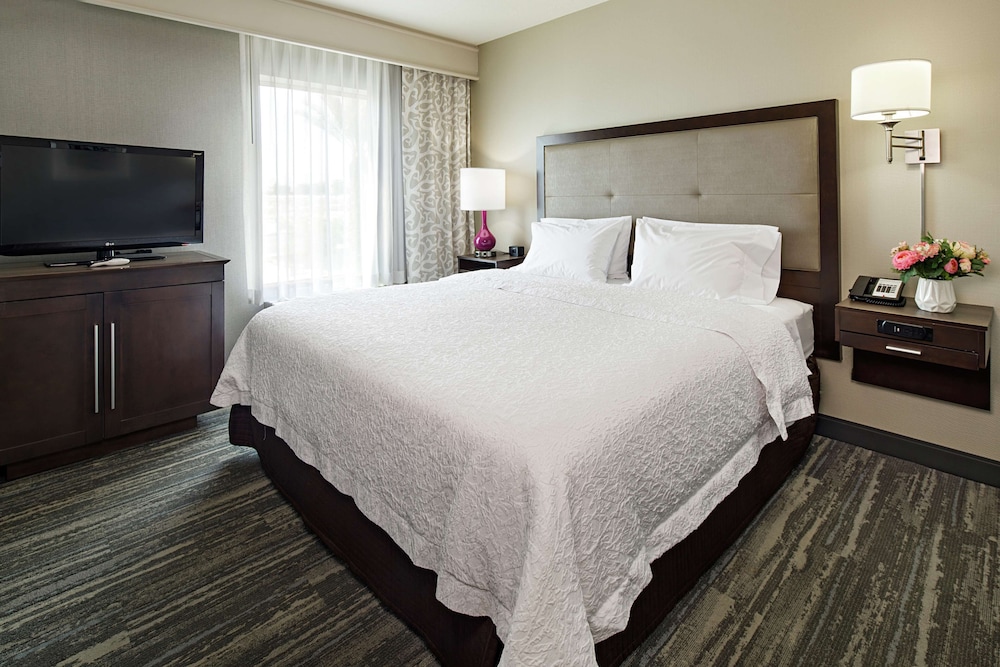 Suite, 1 Bedroom photo 1