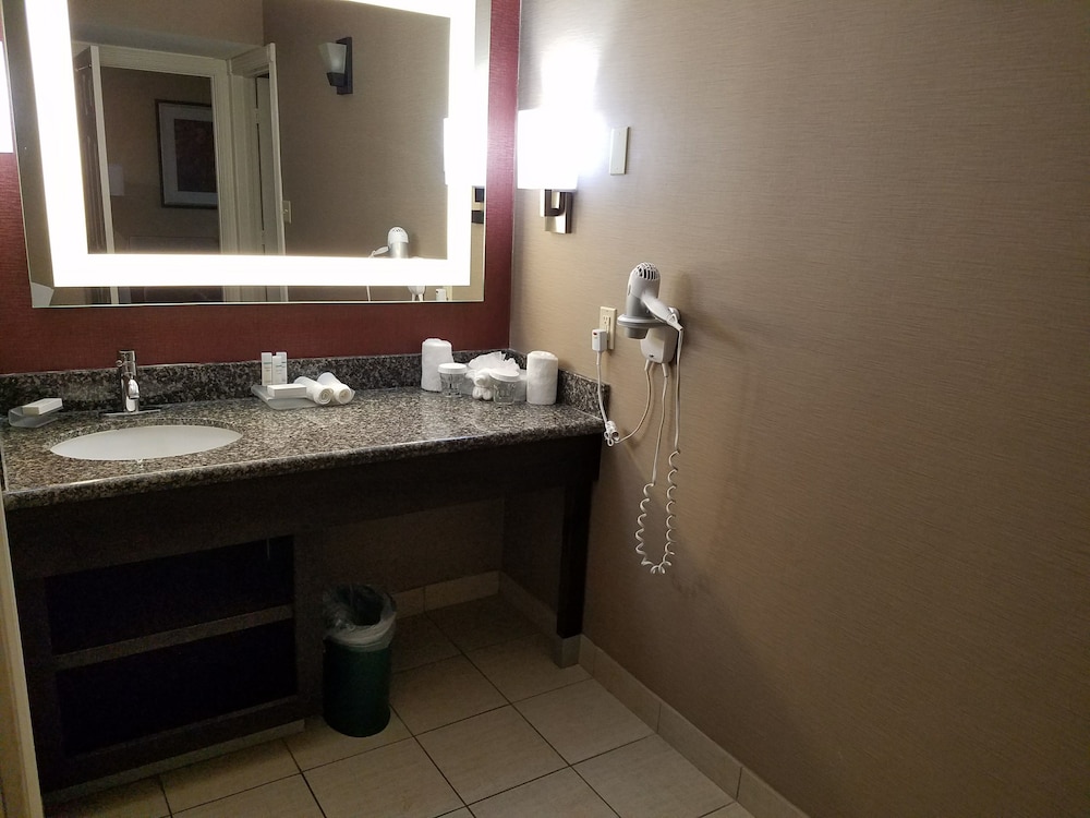 Suite, 1 King Bed, Accessible, Non Smoking (Roll-in shower) - Photo 14