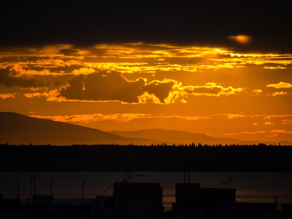 Private Apartment, 1 Bedroom, Full Kitchen, Unit 5, Arctic Fox Vacation Rentals photo 3