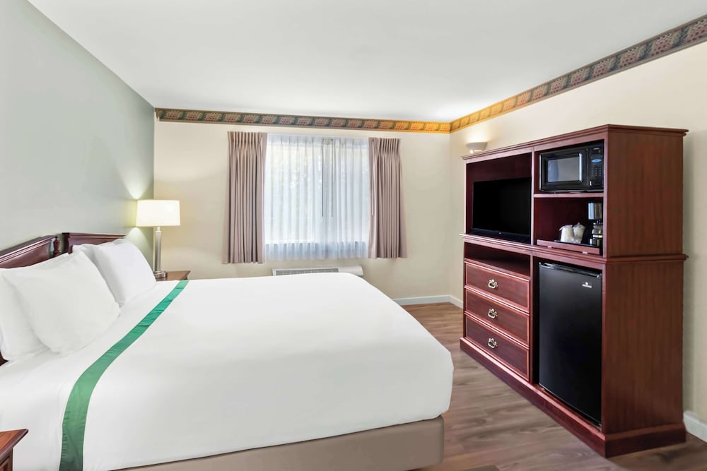 Standard Room, 1 King Bed (and a Pull Out Sofa) - Photo 1