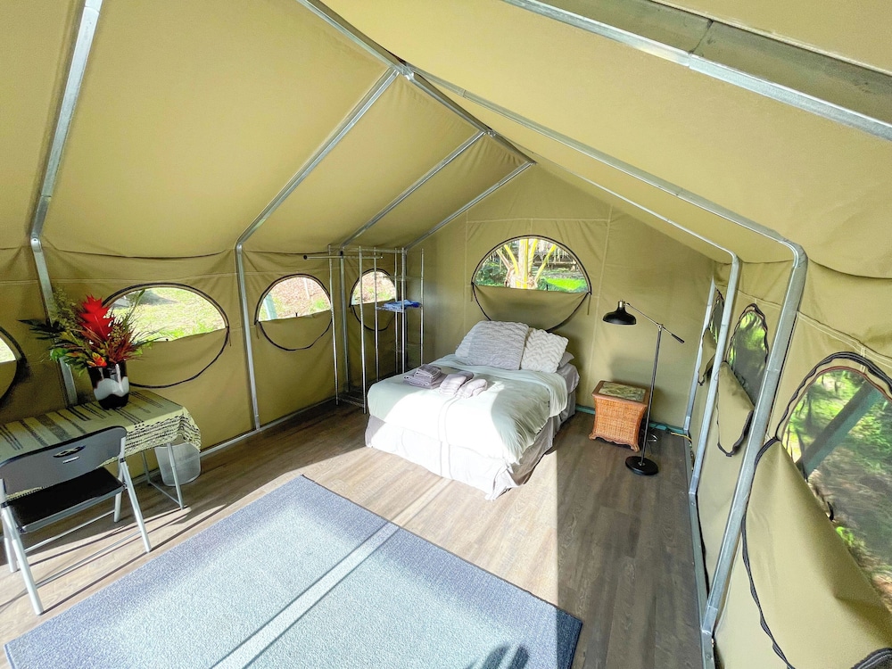Monkeypod Canopy photo 2