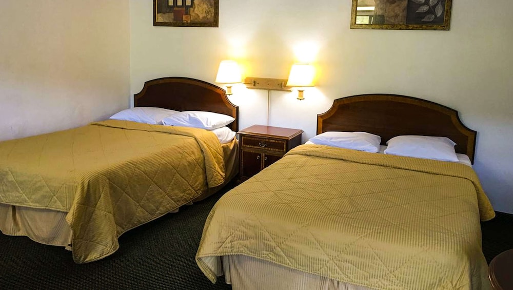 Standard Room, 2 Double Beds, Smoking, Refrigerator & Microwave photo 1