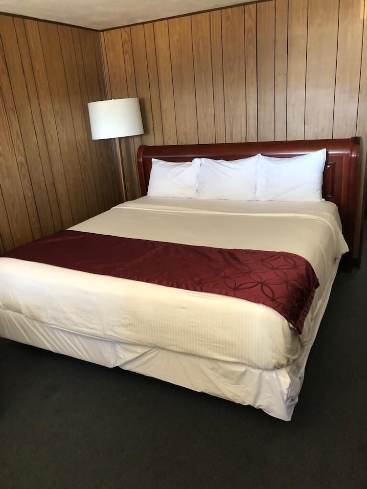 Basic Single Room, 1 King Bed photo 1