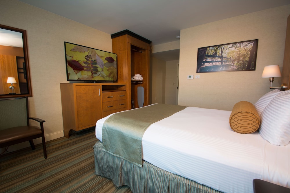 Standard Studio, 1 Queen Bed, Non Smoking, Refrigerator & Microwave - Photo 2