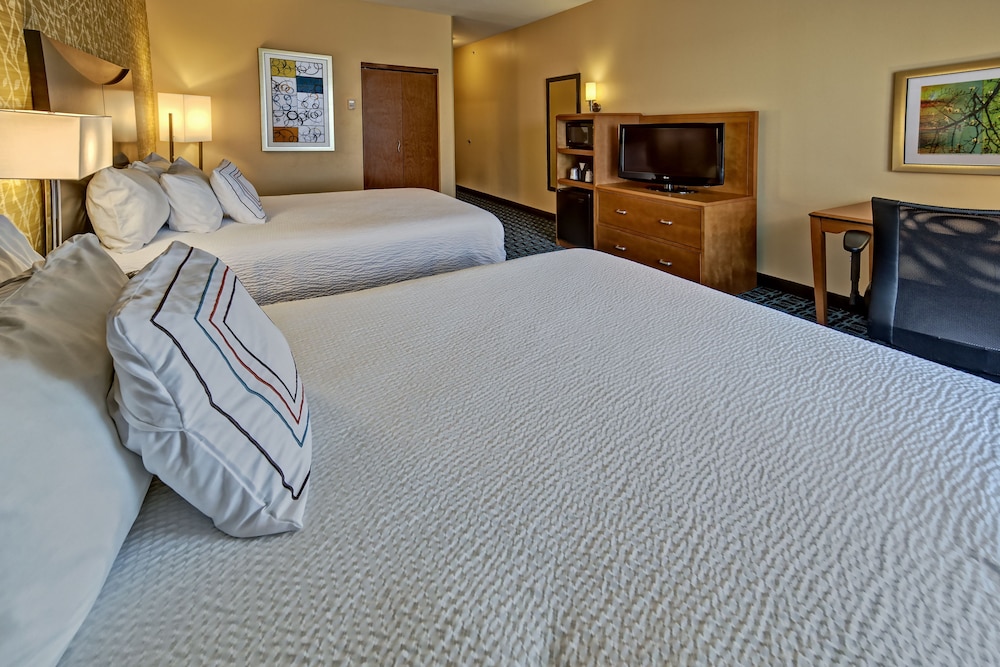 Studio, Multiple Beds - Photo 1