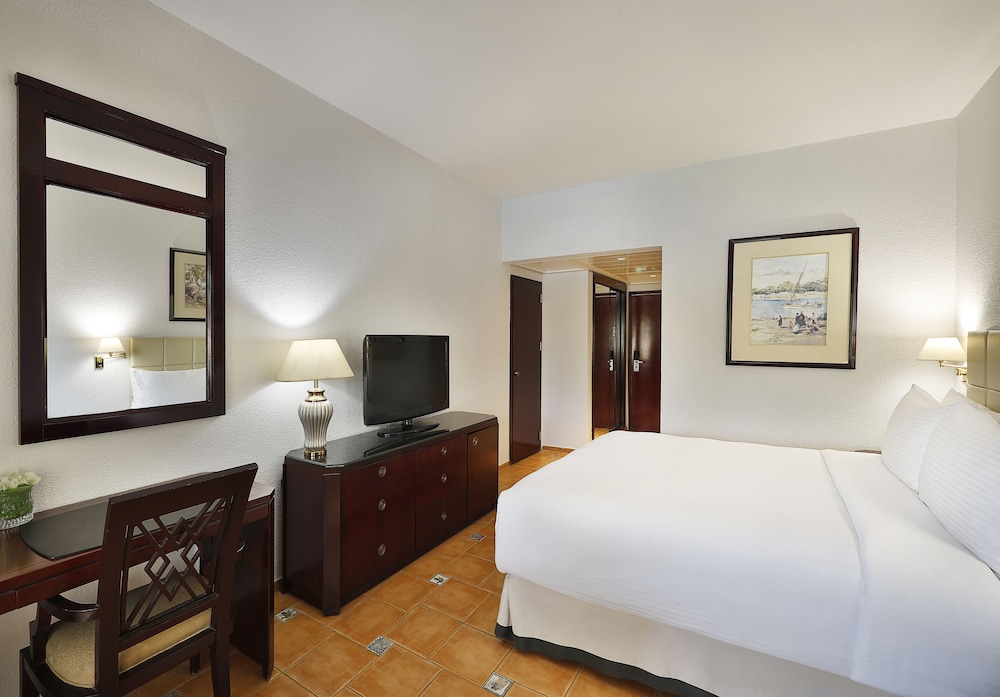 Room, 1 King Bed