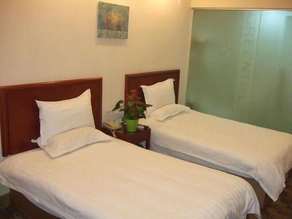 Twin Room photo 2
