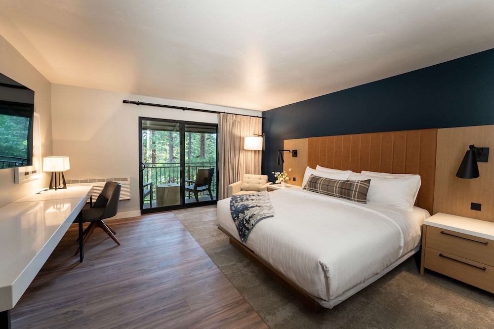 Signature Room, 1 King Bed photo 3
