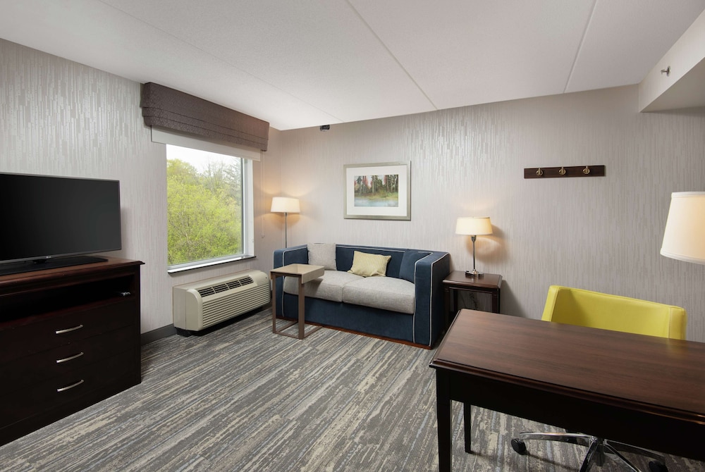 Suite, 1 King Bed with Sofa bed, Non Smoking - Photo 1