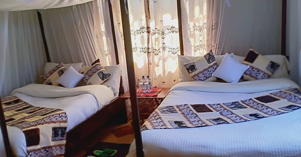 Twin Room photo 2