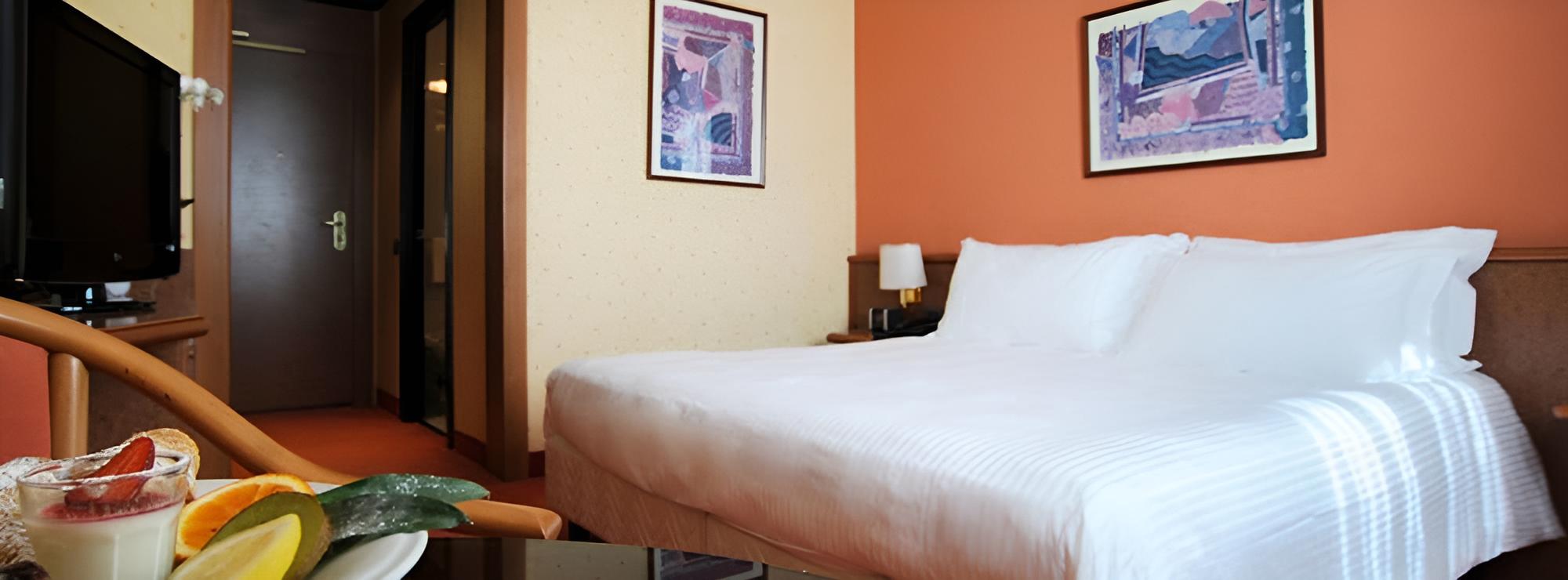 Basic Double Room Single Use