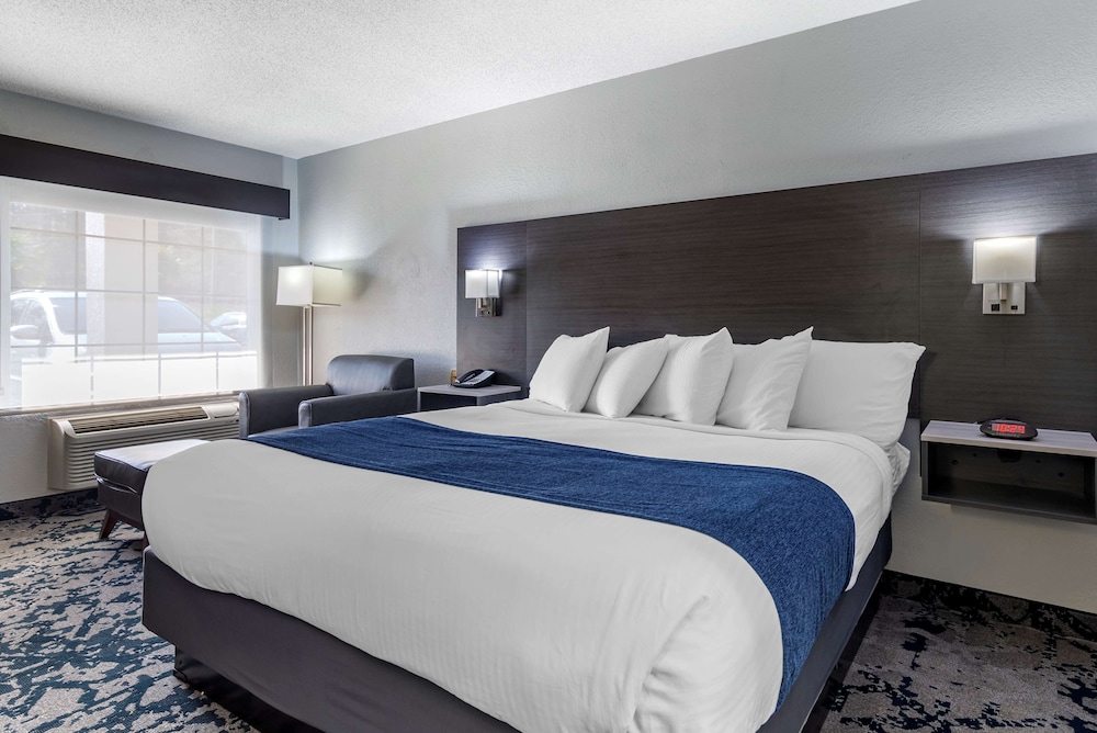 Standard Room, 1 Queen Bed, Accessible, Non Smoking (with Sofabed) - Photo 3