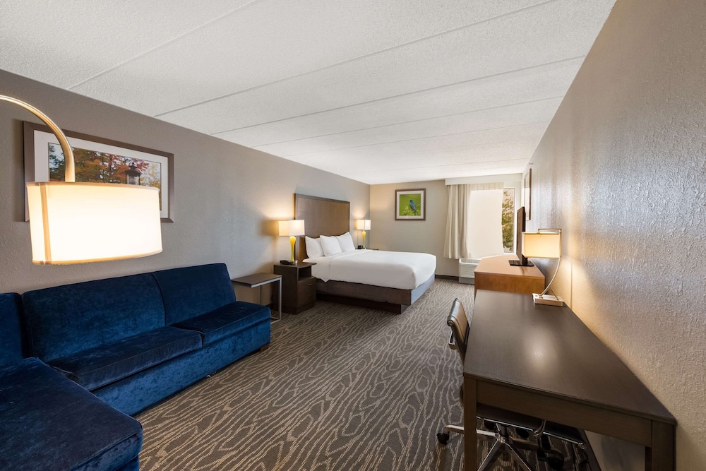 Suite, 1 King Bed, Non Smoking photo 1
