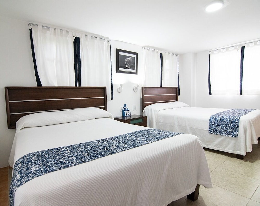 Comfort Room photo 2