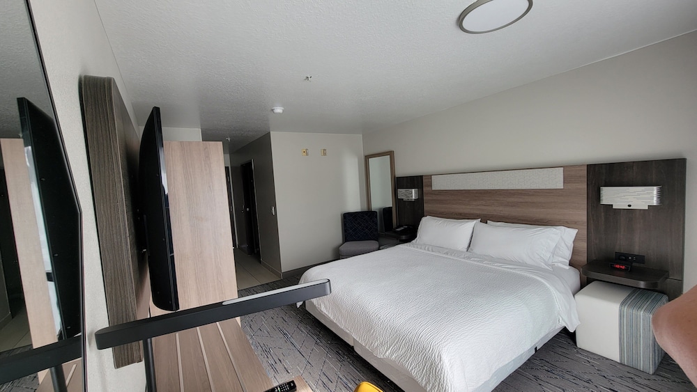 Room, 1 King Bed, Roll-in Shower (Communications, Mobility Accessible)