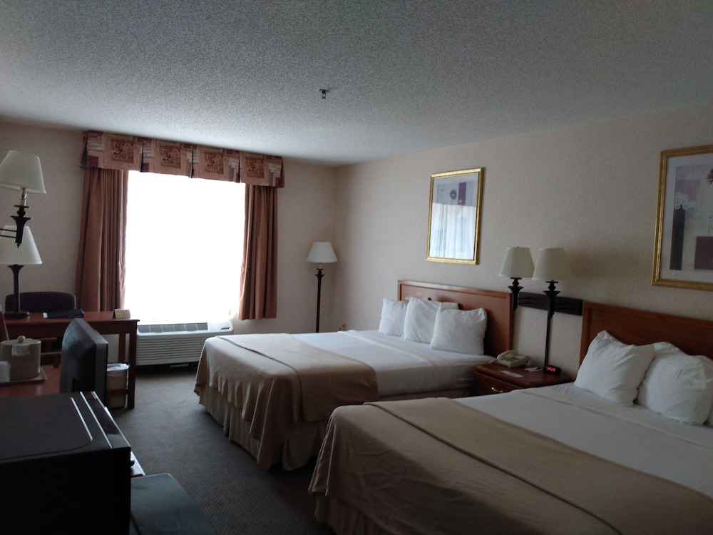Basic Single Room, 2 Double Beds photo 1