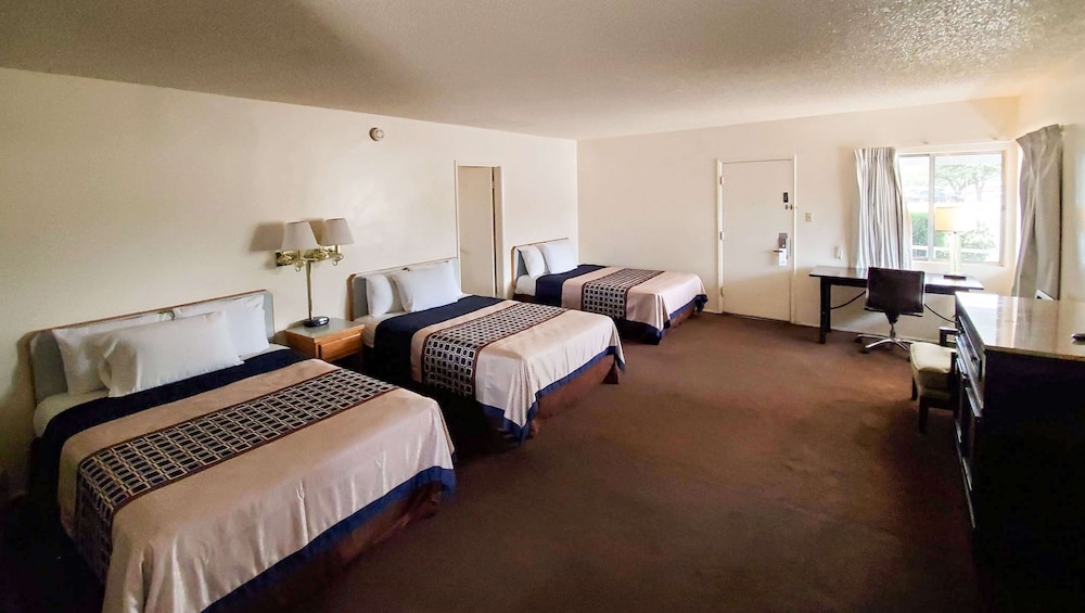 Studio Suite, Multiple Beds, Non Smoking, Kitchenette photo 2