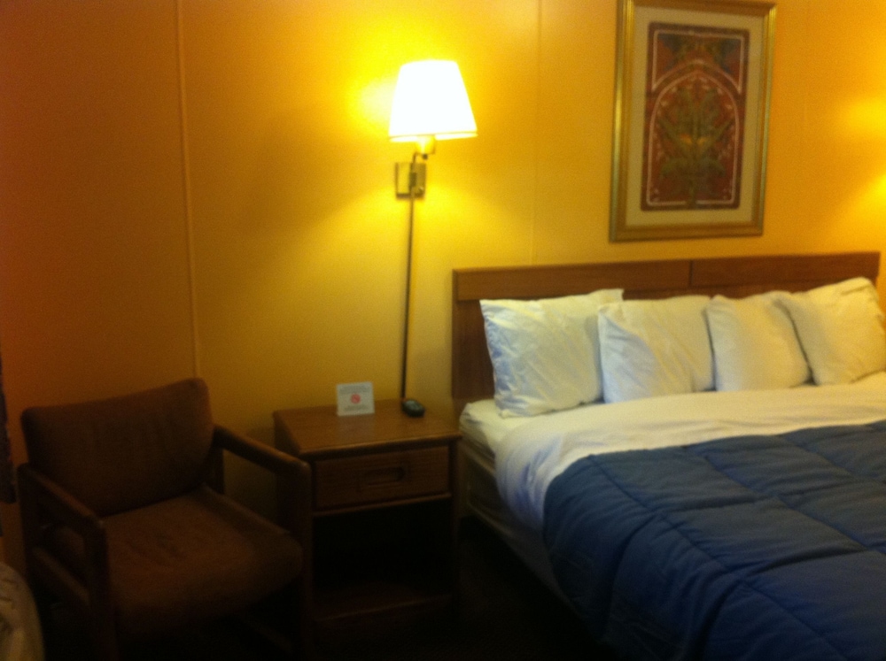 Room, 1 Queen Bed photo 2