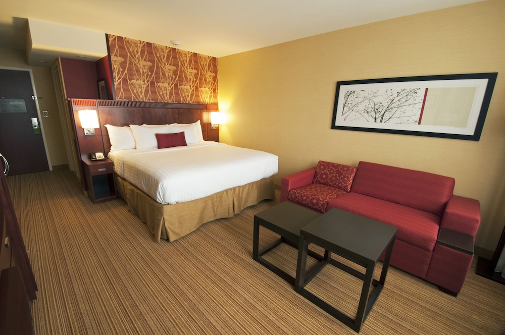 Room, 1 King Bed with Sofa bed (Mobility/Hearing Access, Roll-In Shwr) photo 3