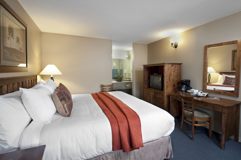 Standard Room, 1 King Bed photo 1