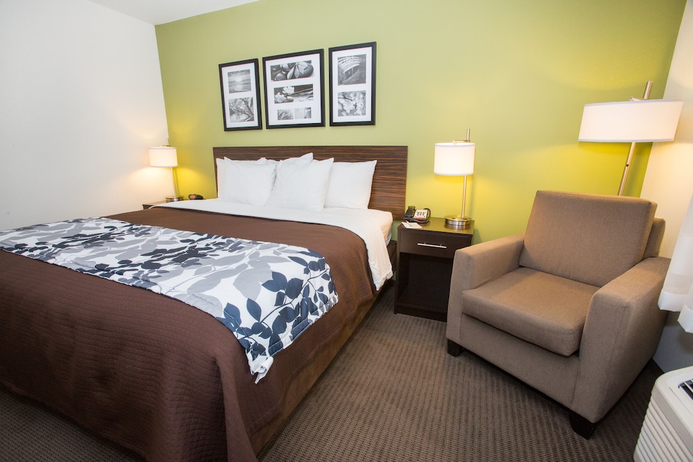 Suite, 1 King Bed with Sofa bed, Non Smoking photo 2