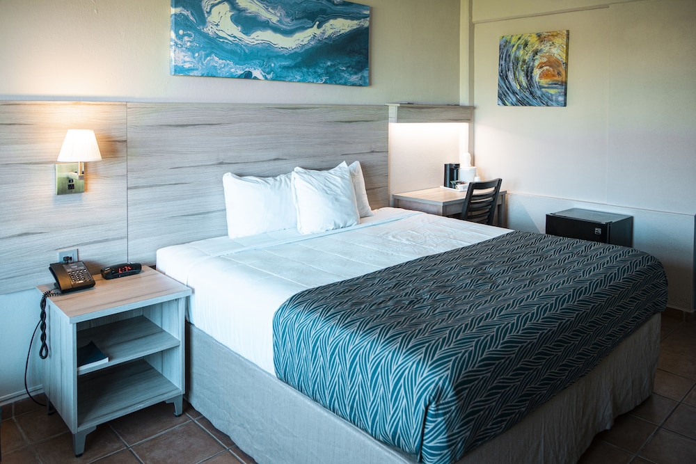 Single Room, 1 King Bed