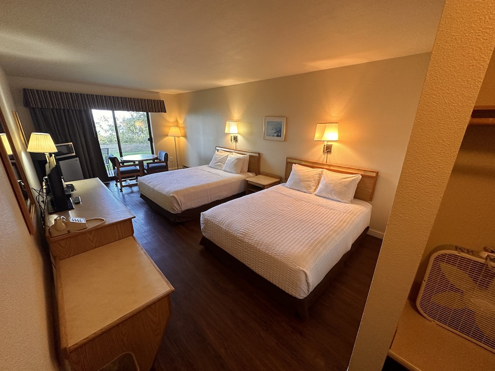 Double Queen View (Pet Friendly)