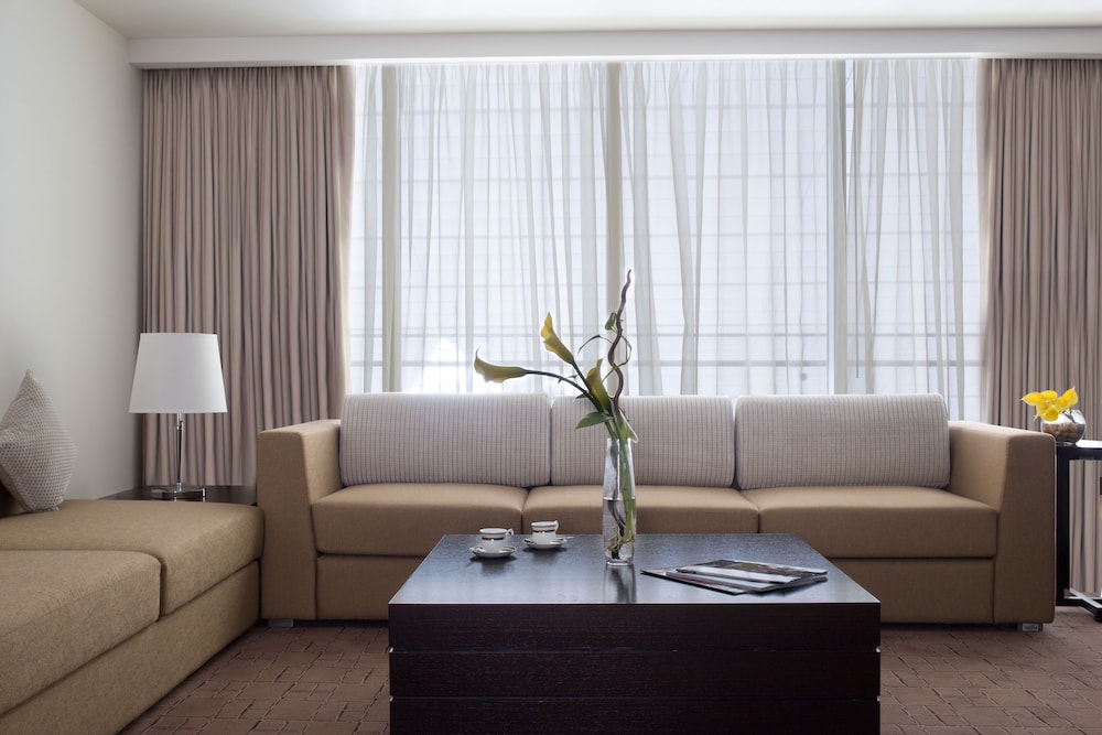 Executive Room At Concourse A Near Gate A1 Or A24