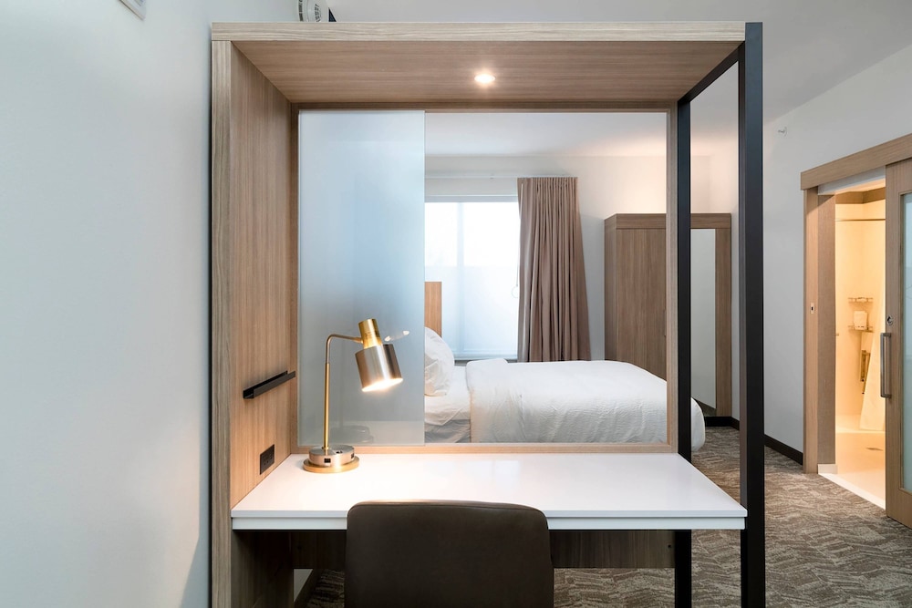 Suite, 1 King Bed with Sofa bed - Photo 4