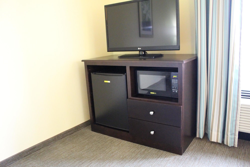 Room, 1 King Bed, Accessible (Mobility & Hearing, 3x3 Shower) photo 2