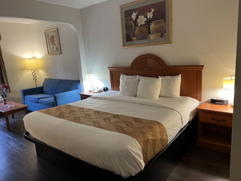Room, 1 King Bed with Sofa bed, Non Smoking