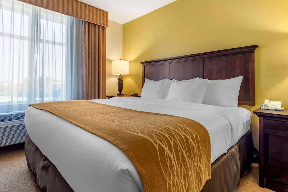 Suite, 1 King Bed with Sofa bed, Non Smoking (Large Room) - Photo 3