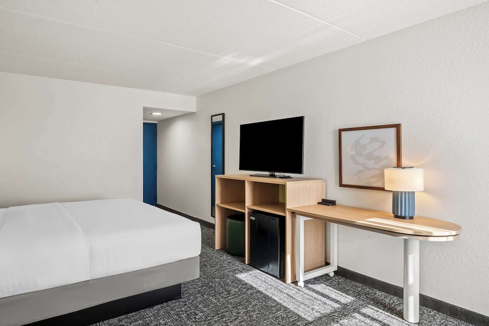 Room, 1 King Bed