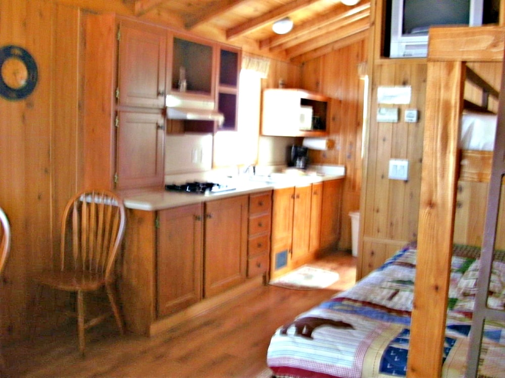 Cabin (Pets OK, Linens Available) photo 2