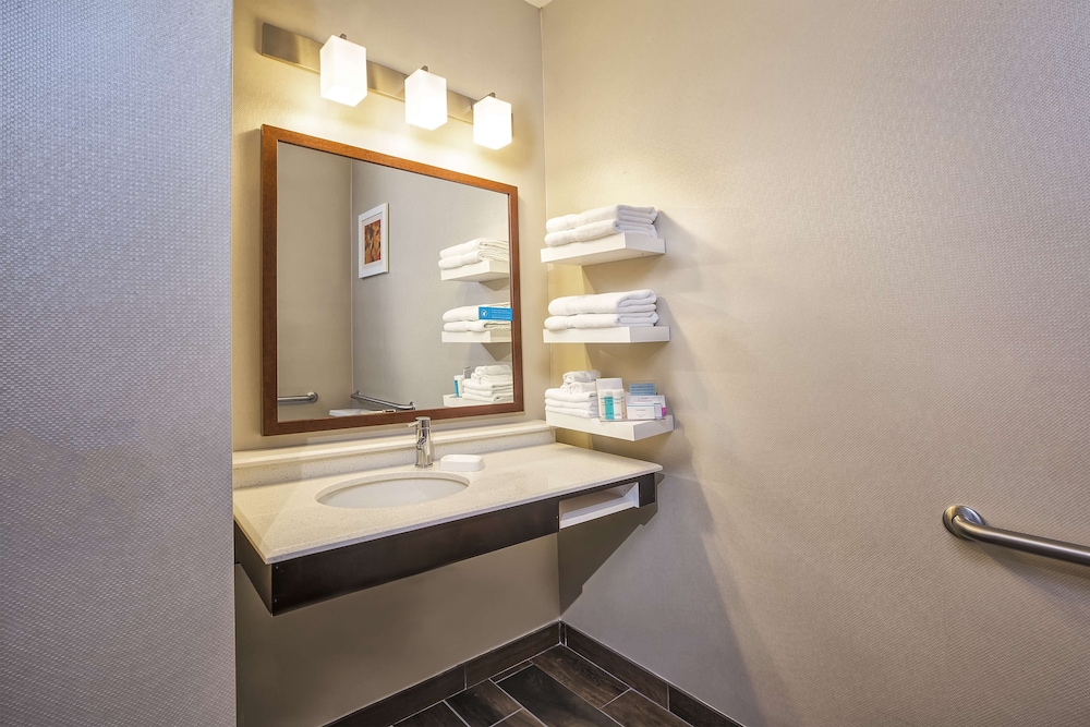 Room, 1 King Bed, Accessible (Roll-In Shower) - Photo 3