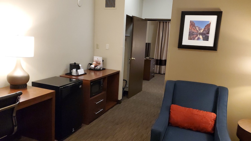 Suite, 1 Queen Bed, Living Room, Sofa, Roll-In Shower, Accessible, Non Smoking photo 2