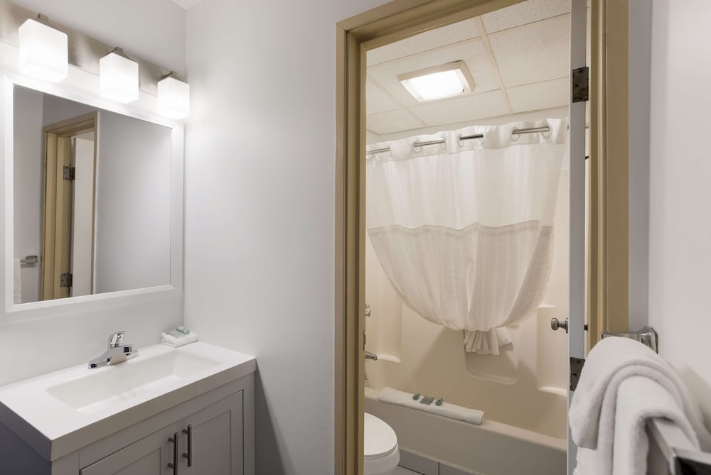Suite, 1 King Bed, Non Smoking, Kitchenette (Pet Friendly;With Sofabed) - Photo 5
