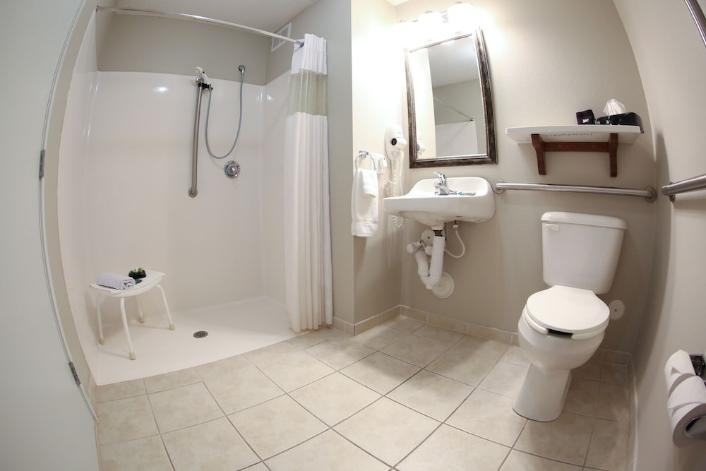 Standard Room, 1 King Bed (Handicap) photo 3