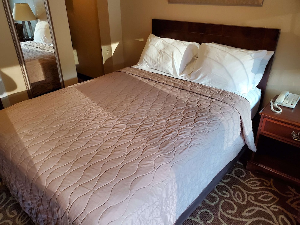 Single Room - Photo 5