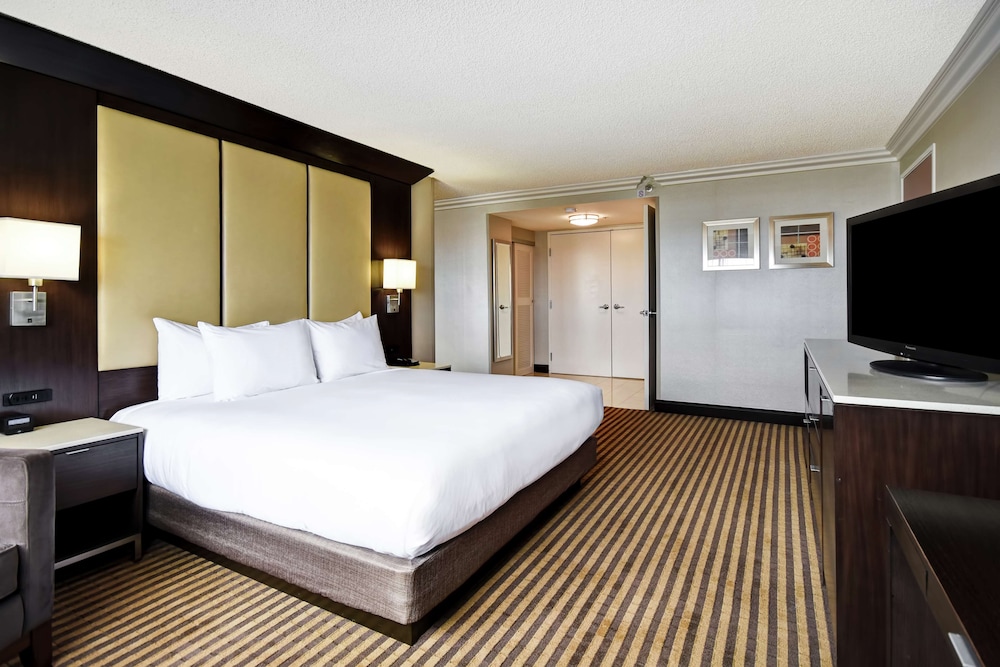 Suite, 1 King Bed - Photo 2
