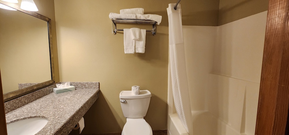Premium King Suite No Pets photo 2