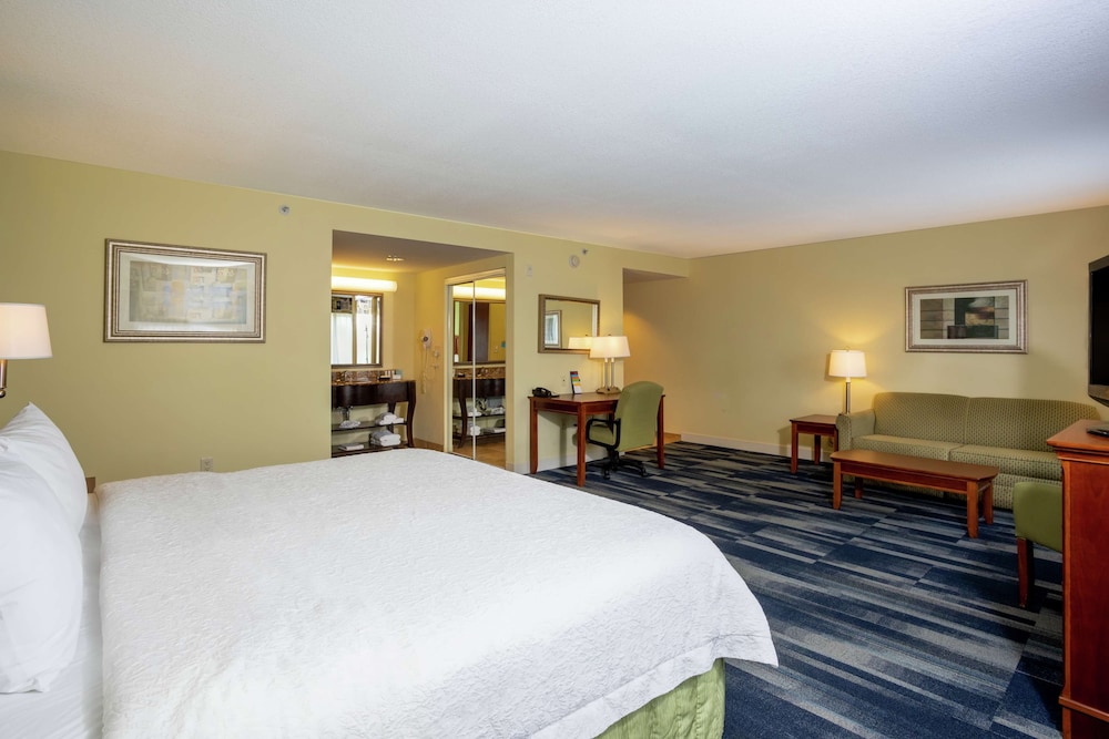 Studio Suite, 1 King Bed - Photo 1