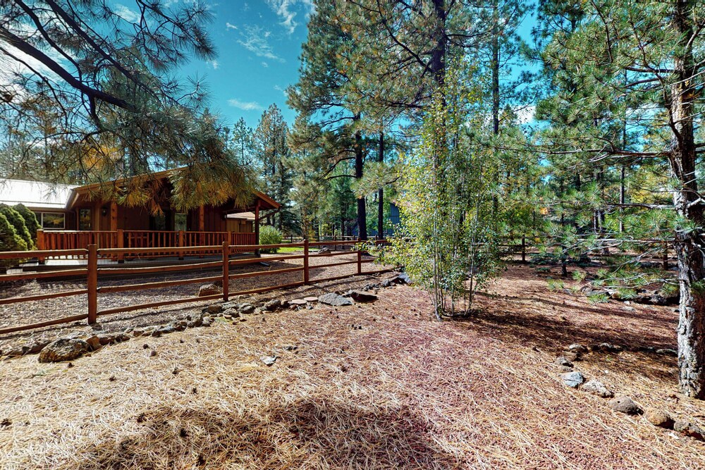 House (3 Bedrooms) photo 3