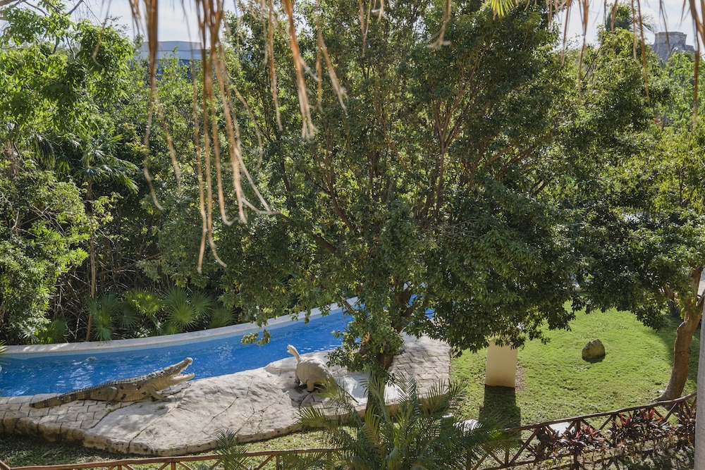 Premium Room, Poolside
