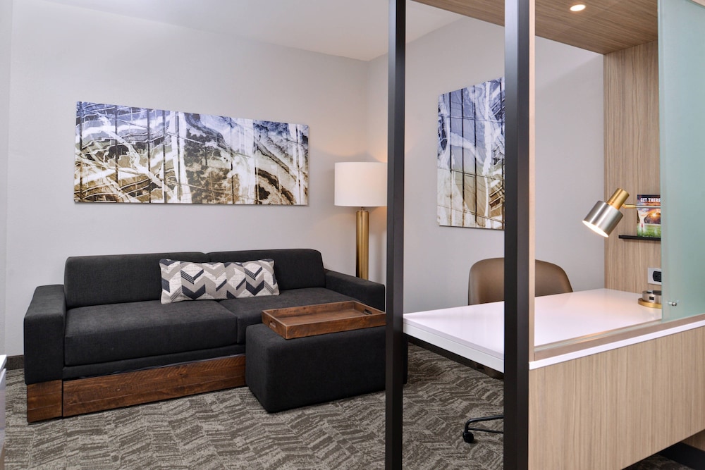 Suite, 1 King Bed photo 1