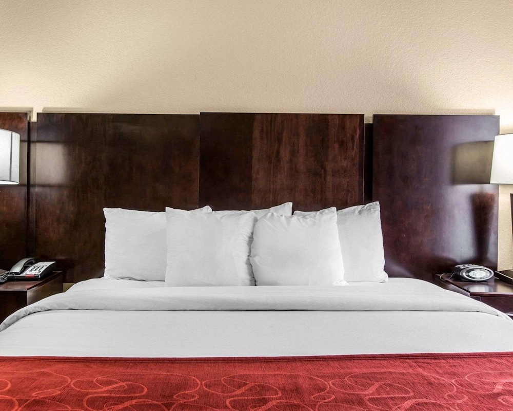 Suite, 1 King Bed with Sofa bed, Non Smoking - Photo 5