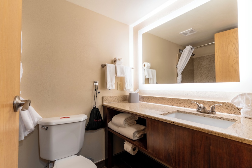 Suite, 1 Bedroom - Photo 6