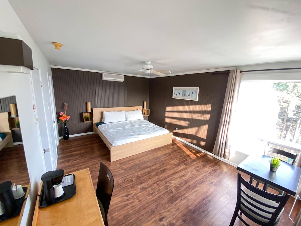 Panoramic Double Room, 1 King Bed, Private Bathroom, River View photo 2