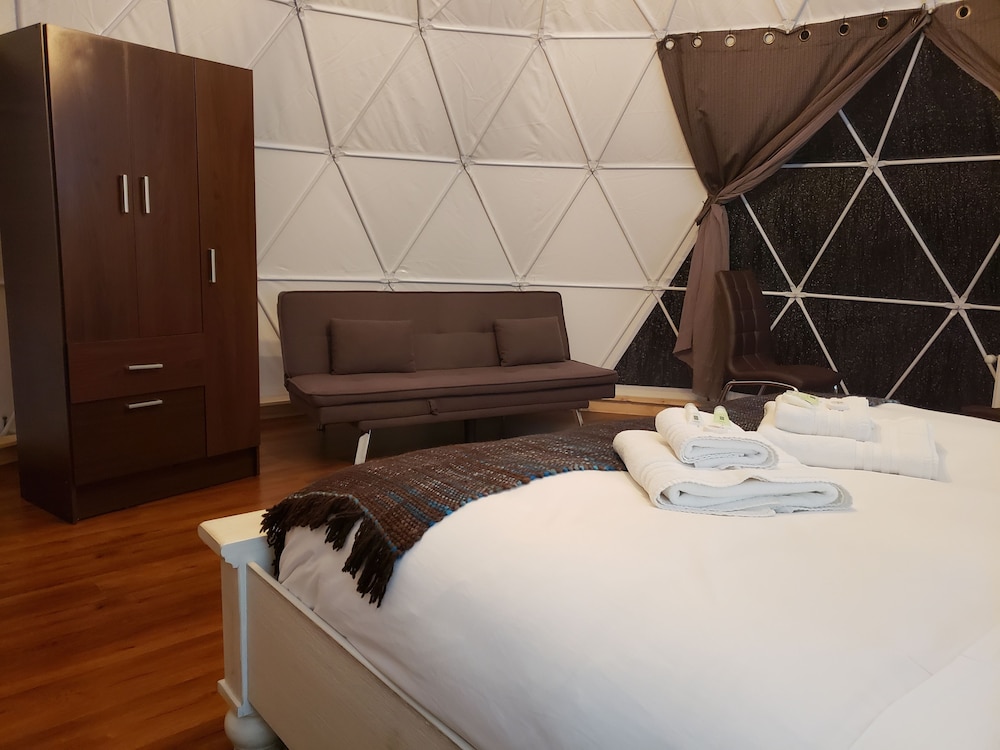 Bungalow (Penguin Dome) photo 2