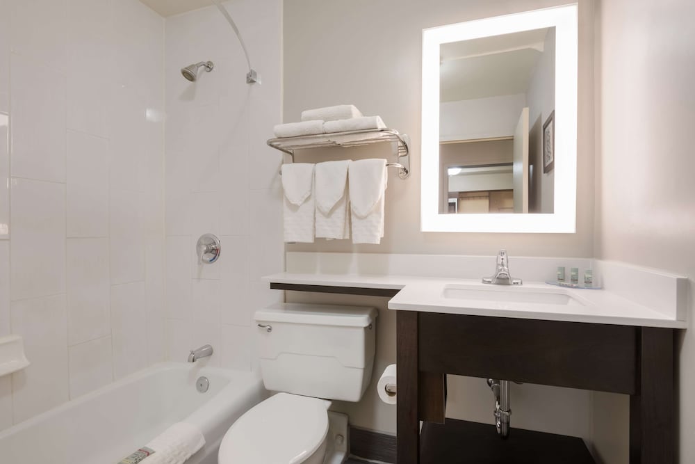 Suite, 1 King Bed, Non Smoking, Kitchenette (with Sofabed) - Photo 4